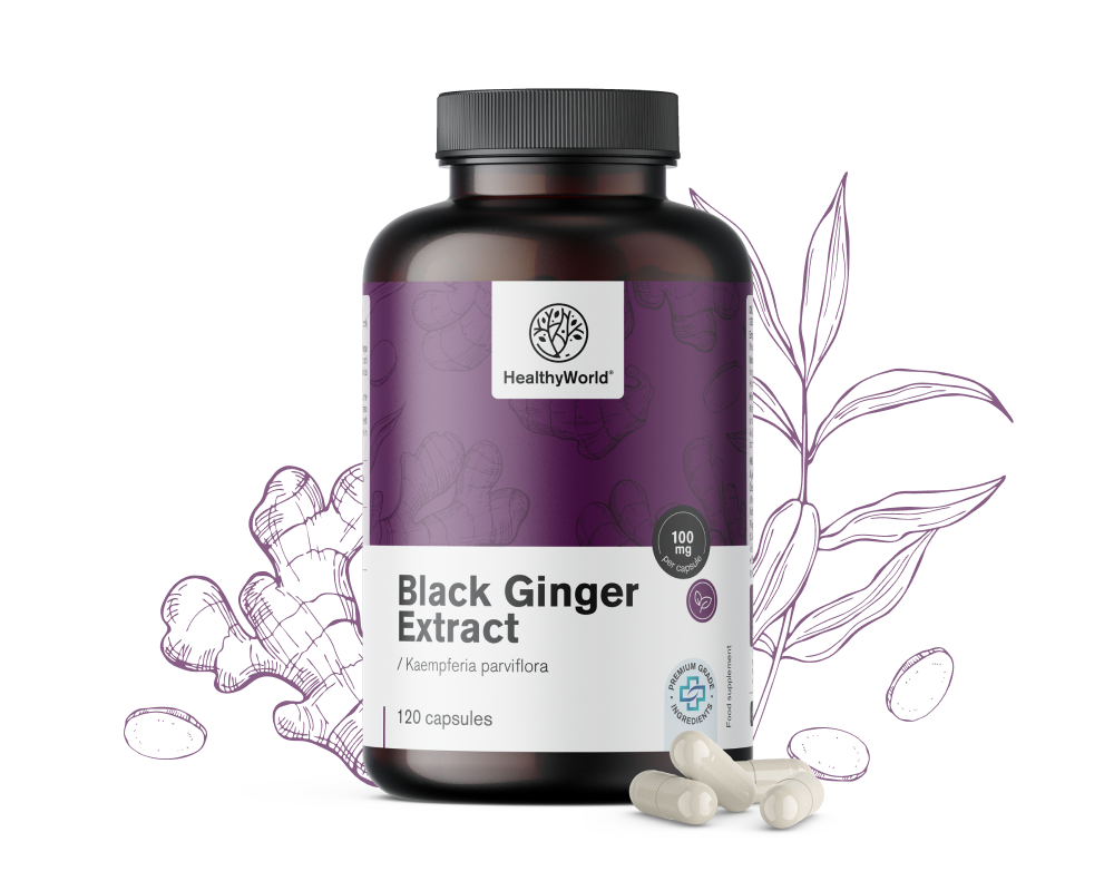 Schwarzer Ingwer – Extrakt