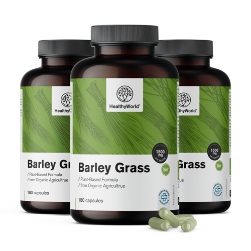 3x Gerstengras 1500 mg, zusammen 540 Kapseln