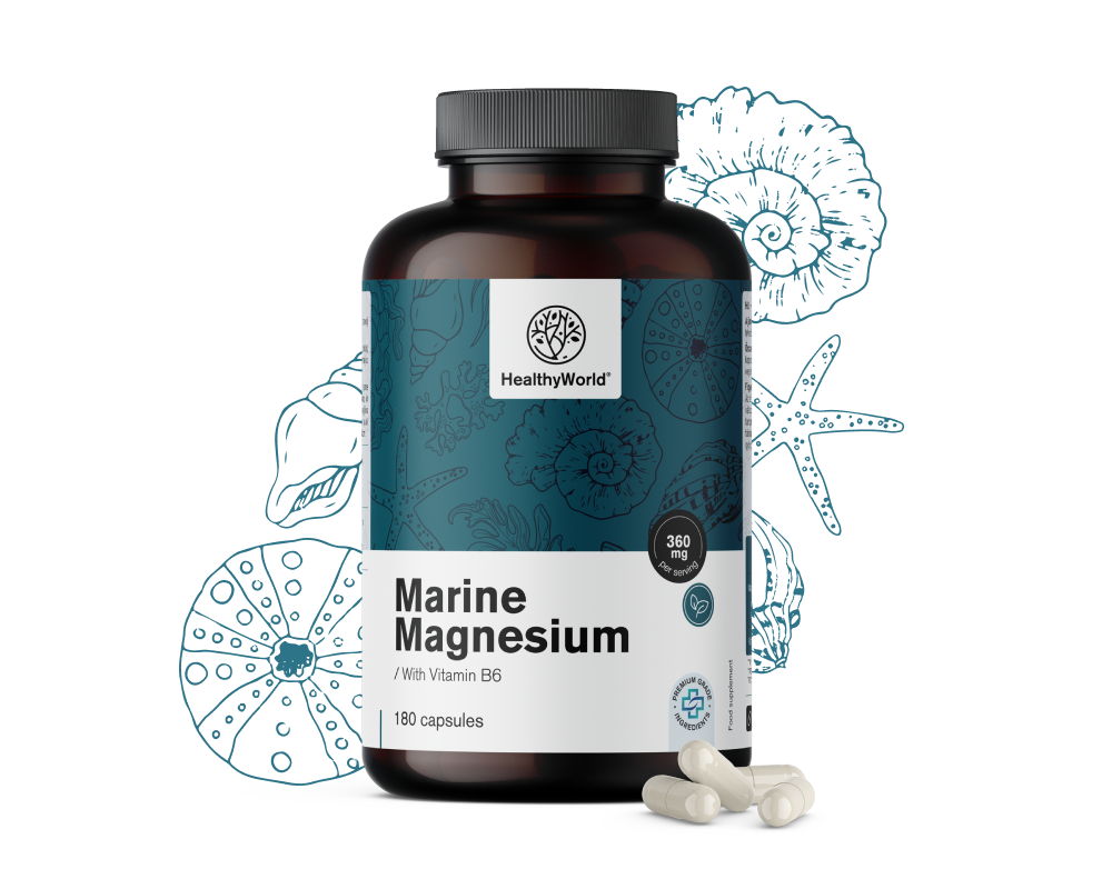 Meeresmagnesium 360 mg