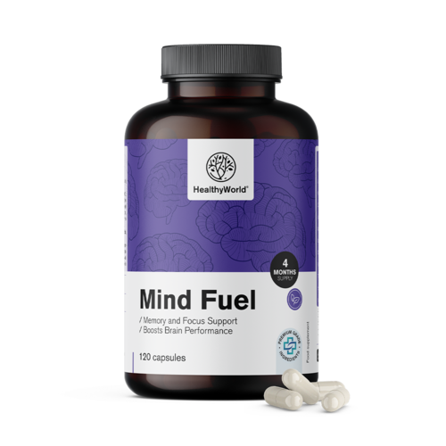 Mind Fuel – Gedächtnis und Konzentration, 120 Kapseln