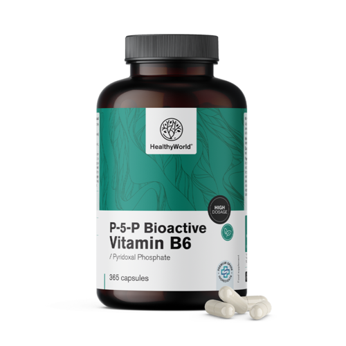 P-5-P – Bioaktives Vitamin B6, 365 Kapseln