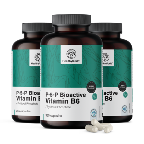 3x P-5-P – Bioaktives Vitamin B6, zusammen 1095 Kapseln
