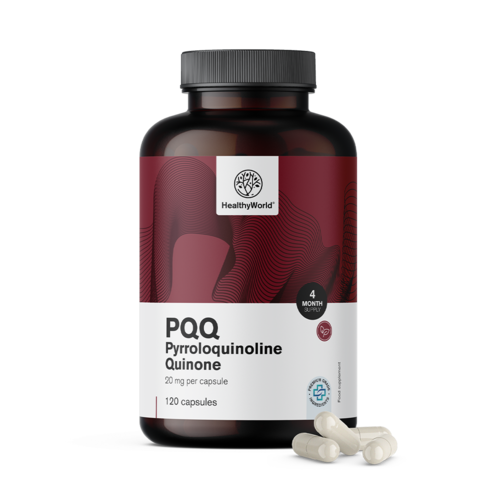 PQQ – Pyrrolochinolinchinon 20 mg, 120 Kapseln