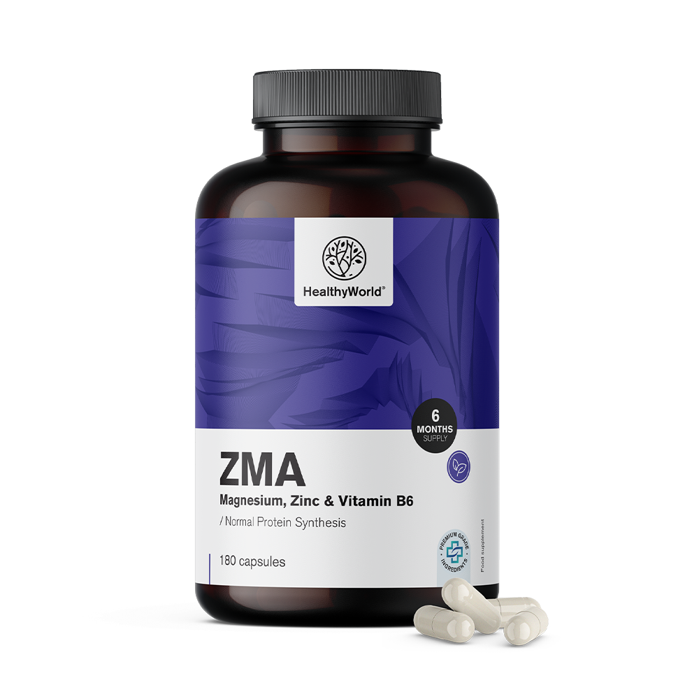ZMA – Magnesium, Zink und B6