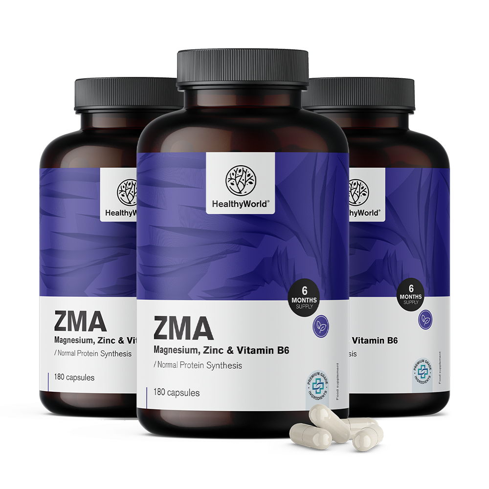 ZMA – Magnesium, Zink und B6