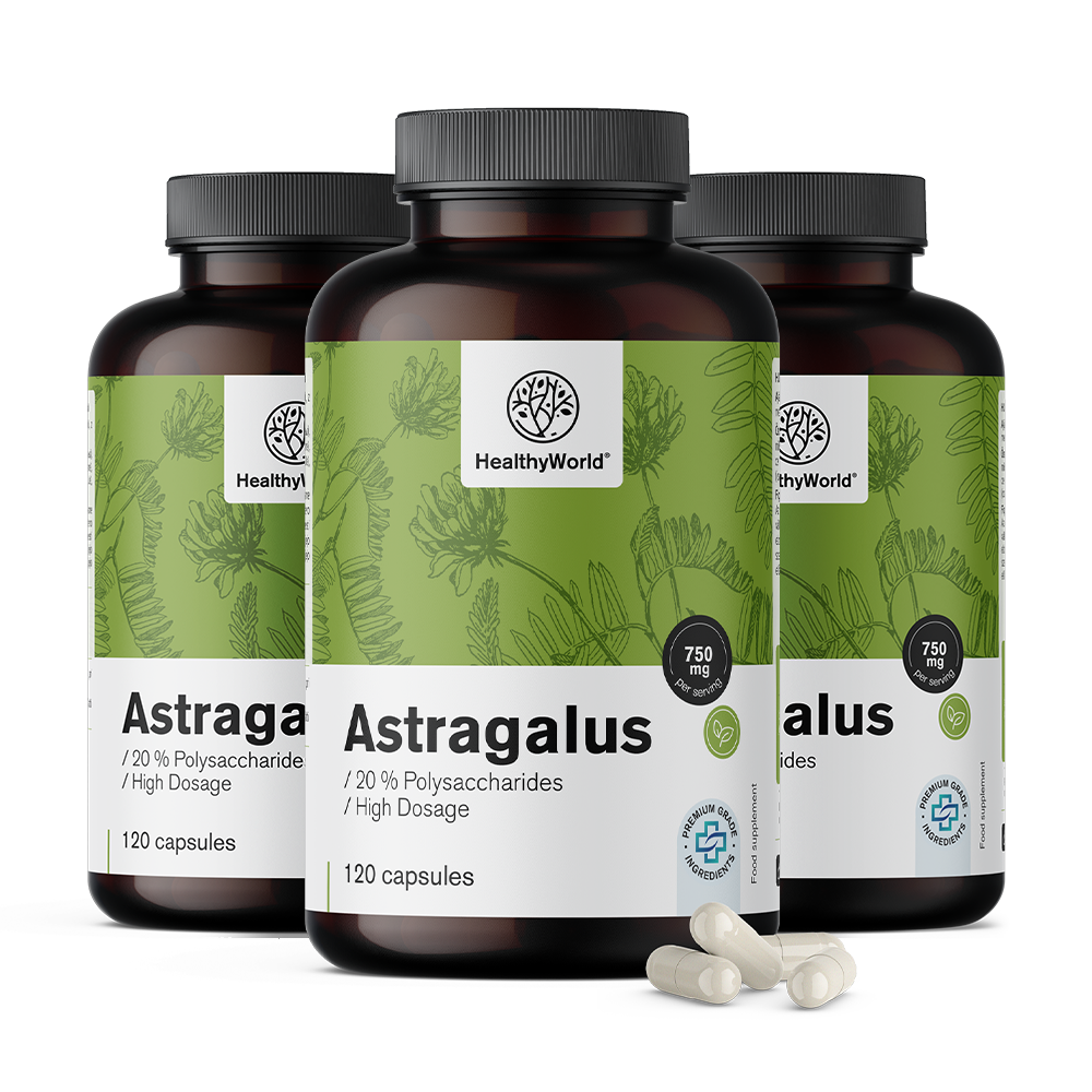 Astragalus – Extrakt