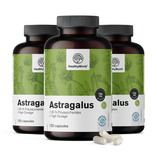 3x Astragalus – Extrakt, zusammen 360 Kapseln