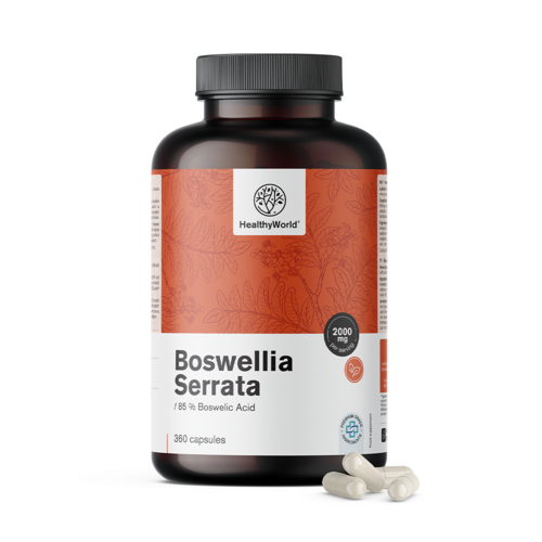 Weihrauch (Boswellia serrata) – 85 % Boswelliasäure, 360 Kapseln