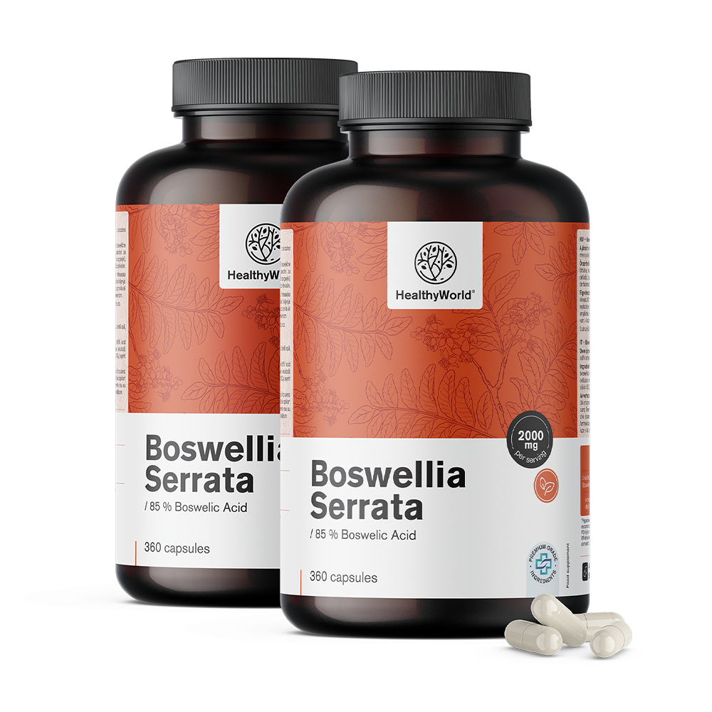Weihrauch (Boswellia serrata) – 85 % Boswelliasäure
