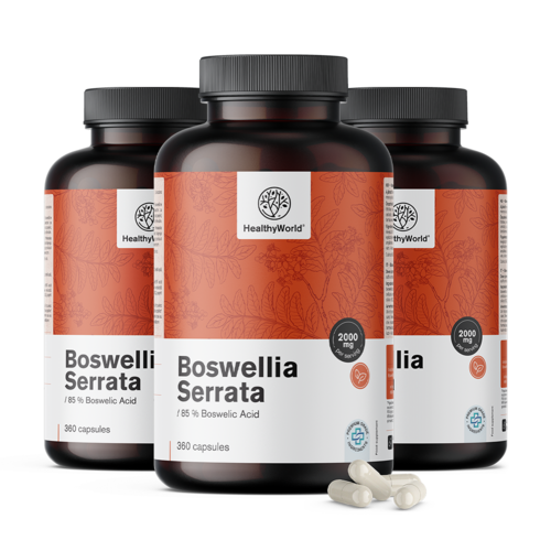3x Weihrauch (Boswellia serrata) – 85 % Boswelliasäure, zusammen 1080 Kapseln