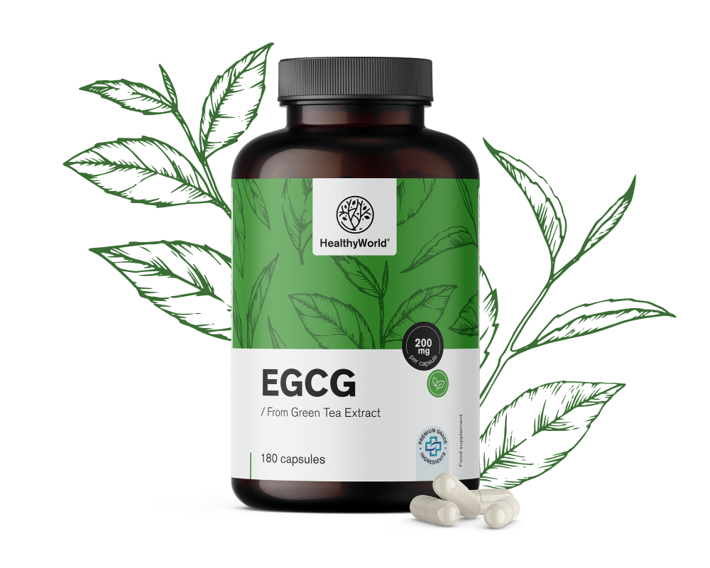EGCG – aus Grüntee-Extrakt