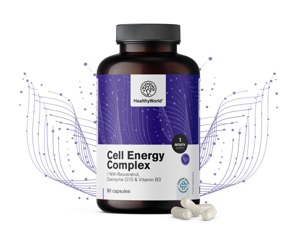 Cell Energy – Komplex für den Energiestoffwechsel